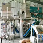 मिलेट स्वचालित प्याकेजिङ्ग मेसिनका दुई एकाइहरू हाम्रो ग्राहक कारखानामा स्थापना र डिबगिङ पूरा गर्छन्