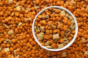 पालतू खाद्य फूड्स