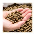 ठाडो चारा प्याकेजिङ मेसिन